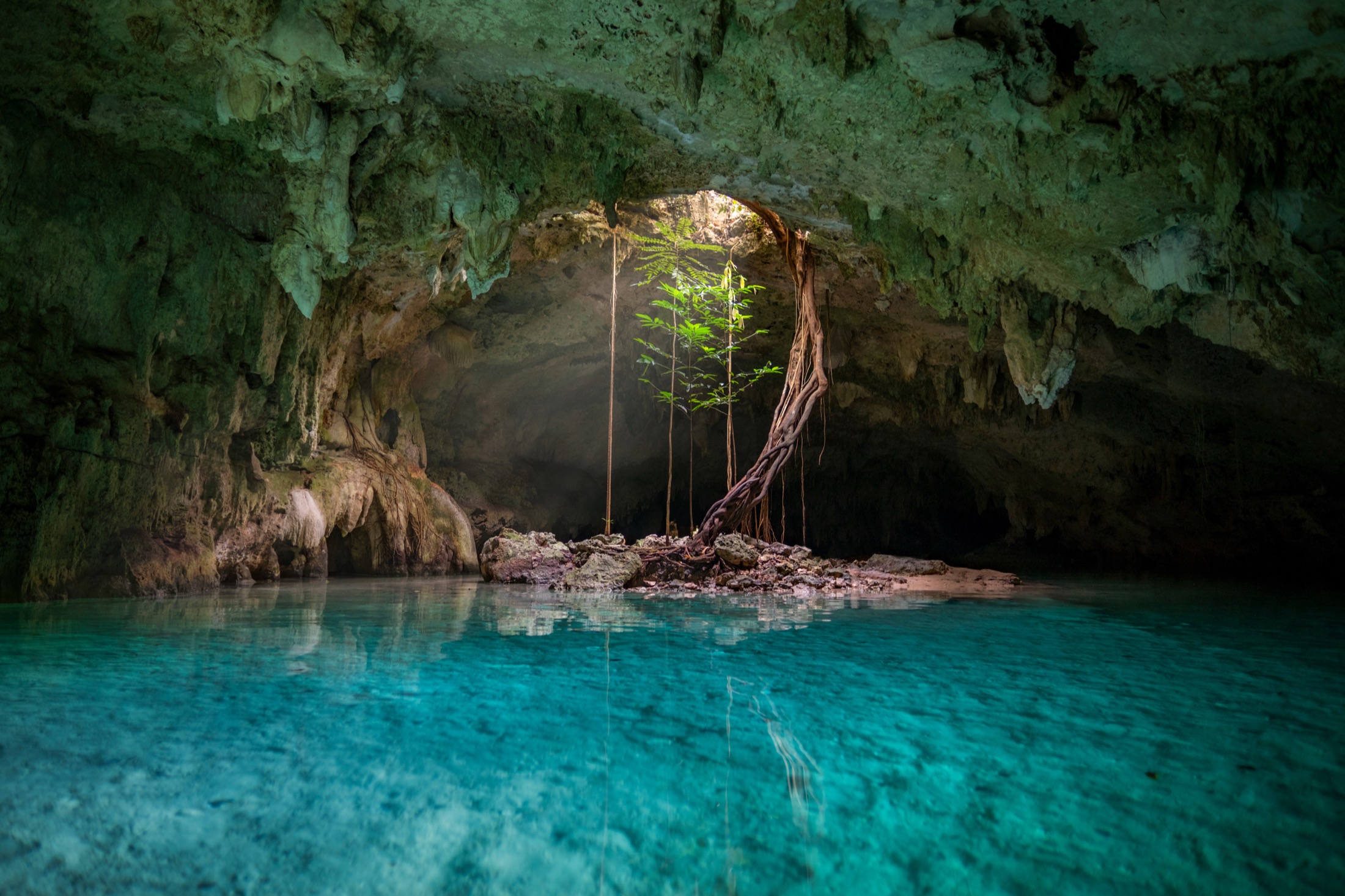 Cenote sagrado com águas cristalinas na selva mexicana